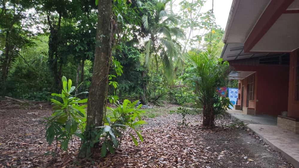 Hostel Manuel Antonio Park Jungle Exterior photo